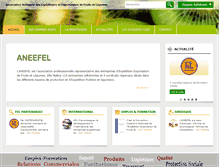 Tablet Screenshot of aneefel.com